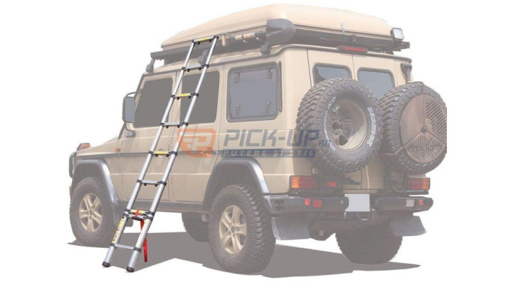 FRR TELESCOPIL LADDER