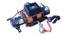 ELECTRIC WINCH PS9500S CARP