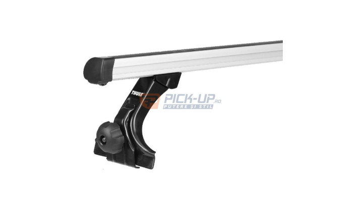 PICIOARE PRINDERE RAIN GUTTER MEDIUM THU